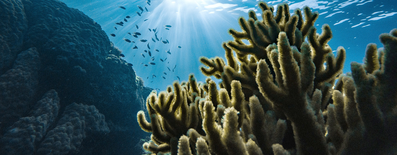 J9集团中水回用、陶瓷膜、石墨烯膜、黑金膜公家号，迎接您扫码关注！